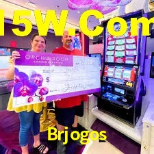 Sports Statistics Brjogos
